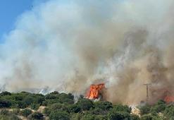 Çanakkale'de bozuk ormanda yangın