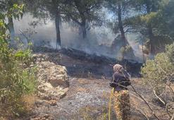 Kahramanmaraş’ta orman yangını söndürüldü