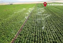 Kahramanmaraş'a 4 milyar liralık sulama yenileme projesi