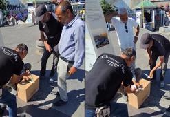 Galata Köprüsü’nde 'Bul karayı al parayı' yöntemiyle kumar oynattı; 'Money' diyerek euro istedi