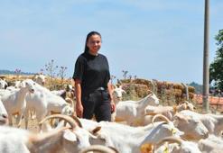 Hayali olan keçi peyniri markası için şehir hayatını bırakıp köyüne döndü