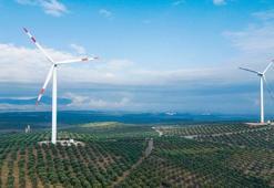 Enerjisa Üretim CEO'su Bayçöl'den Dünya Yenilenebilir Enerji Günü mesajı