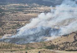 Çanakkale'de orman yangını kontrol altında