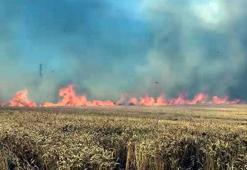 Tekirdağ'da 100 dekar buğday tarlası yandı