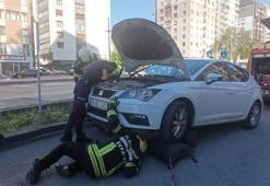 Park halindeki otomobilden yılan sarkıttığı ihbarı endişe yarattı