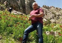 Mantar toplamak için çıktığı dağda ölü bulundu
