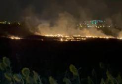 Osmaniye'de anız yangını