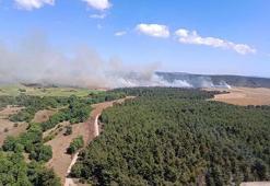 Çanakkale'de orman yangını