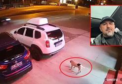 Köpeğe çarpmamak için manevra yaptı, takla atan ATV'de öldü; kaza kamerada