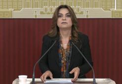 DEM Parti'li Koçyiğit: Çerçeve yasanın bir an önce TBMM'ye gelmesi gerekiyor