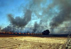 Edirne'de anız yangını; 500 dekar tarım arazisi zarar gördü