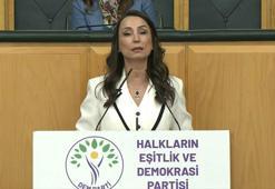 DEM Parti'li Hatimoğulları: Çerçeve yasanın acilen çıkması lazım