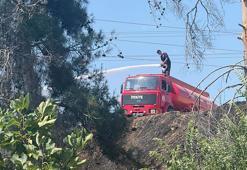Antalya'da 2 orman yangını