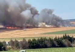 Silivri'de buğday tarlasında çıkan yangın söndürüldü