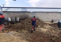Adıyaman'da örtü ve anız yangınları; 1500 hektar alan zarar gördü