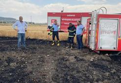 Gaziantep'te 5 dönümlük buğday tarlası yandı