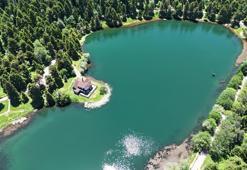 Gölcük’te çam ormanları dronla görüntülendi
