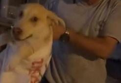 Çuvala koyulan köpeği, hayvansever kadın kurtardı