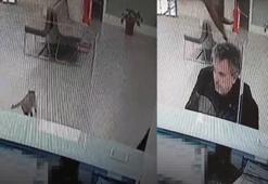 Bankada işlem yaparken üzerine kedi düştü; o anlar kamerada