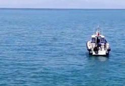 Van Gölü'ne düşen otomobilin sürücüsü yaralı kurtarıldı