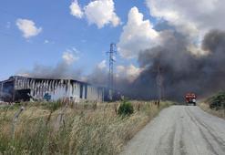 Edirne’de katı atık bertaraf tesisinde yangın