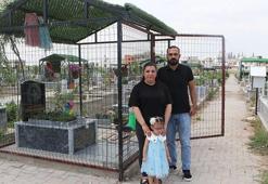 Ölen kızlarının hatıraları çalınınca mezarının etrafını çitle çevirip, kapı yerleştirdiler