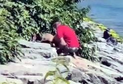 Avcılar Sahili’nde köpeğe şiddet kamerada; şüpheli gözaltına alındı