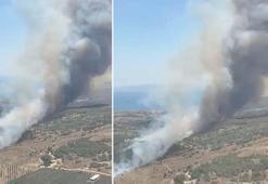 İzmir'de maki yangını