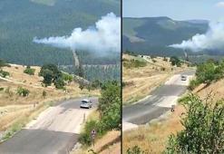 Bursa'da orman yangını