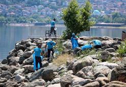 Sapanca Gölü'nde kapsamlı temizlik çalışması gerçekleştirildi