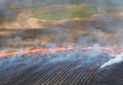 Tekirdağ'da yangında 300 dekar tarım alanı zarar gördü