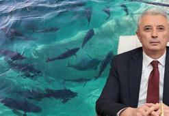 Genel Müdür Türkyılmaz: Su ürünlerinde 2,3 milyar dolarlık ihracat yaptık