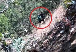 Kenevirlerin bakımını yaparken fotokapana yakalanan CHP ilçe başkanı ve oğluna gözaltı