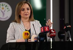 DEM Parti'li Doğan: Çerçeve yasayla ilgili mutabakat sağlandı