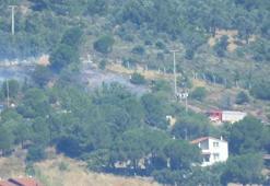 Cunda Adası'nda orman yangını