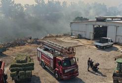 Balıkesir'de Kepsut'un ardından Altıeylül ve Karesi'de de yangın