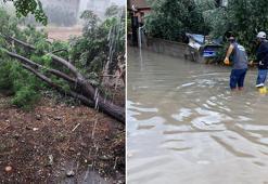 Osmaniye’de sağanak ve fırtına; ağaçlar devrildi