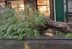 Kars’ta sağanak ve fırtına; yollar göle döndü, ağaç devrildi