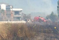 Balıkesir’deki zeytinlik yangını kontrol altında