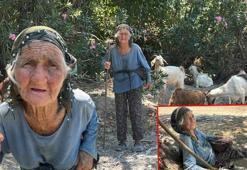 90 yaşında, elinde değneğiyle her gün merada