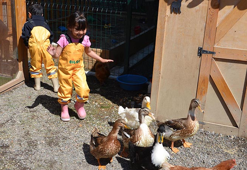 Anaokulu öğrencilerine ormanda doğayla iç içe eğitim