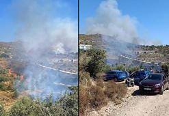 Bodrum'da otluk ve makilik alanda yangın