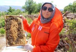 Kanserle mücadelesinde faydalı olduğunu öğrendiği arıcılık Zehra’nın mesleği oldu