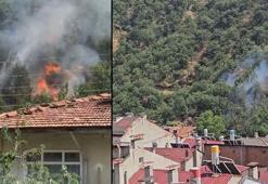 Kastamonu'da orman yangını