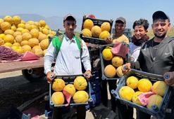 Hatay’da kavun hasadı başladı; tarlada kilosu 22 TL