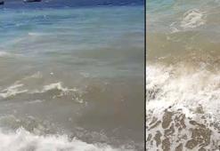 Bodrum'da deniz kirliliği; soruşturma başlatıldı