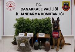 18 ilde uyuşturucu operasyonu; 59 tutuklama