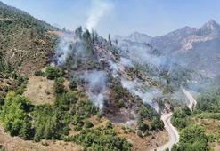 Adana'da orman yangını