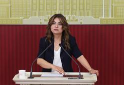 DEM Parti'li Koçyiğit: AKP'nin bu hafta yasa taslağını İmralı heyetimize aktarmasını bekliyoruz