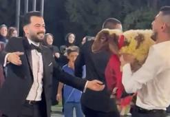 Düğünde damada kuzu hediye etti